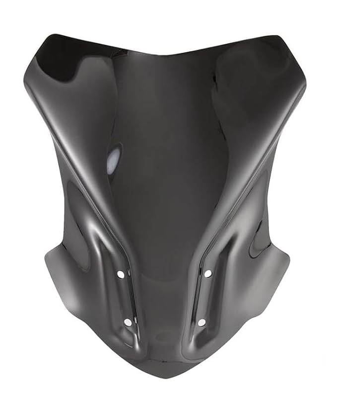 BMW G 310 GS Touring Windshield