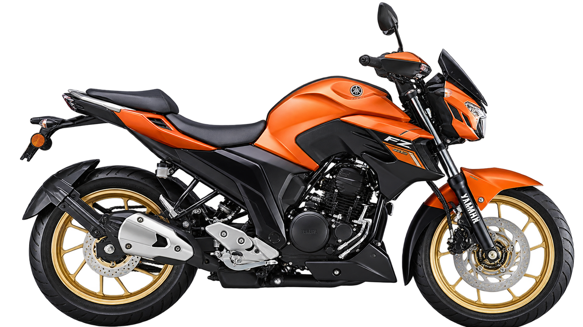 FZ 25